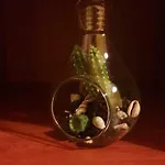 Ethos *