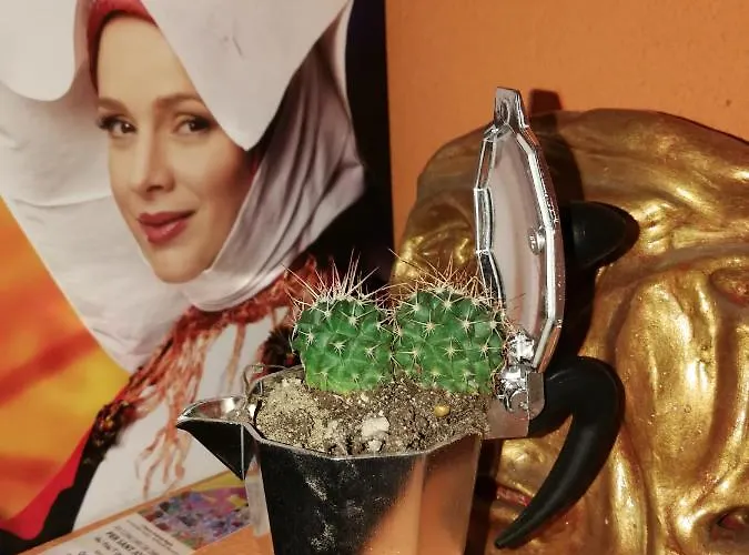 Homestay szállás Ethos Cagliari