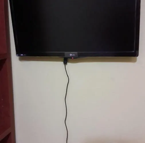 Ethos Проживание в семье *